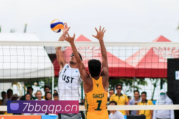 星空官方网站平台全站App